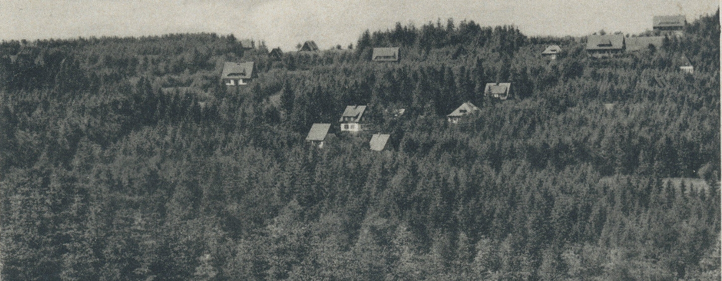 Blick auf Waldidylle (alte Postkarte)